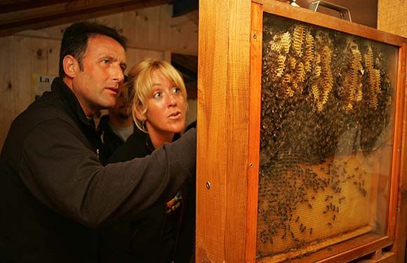 El Aula de la miel